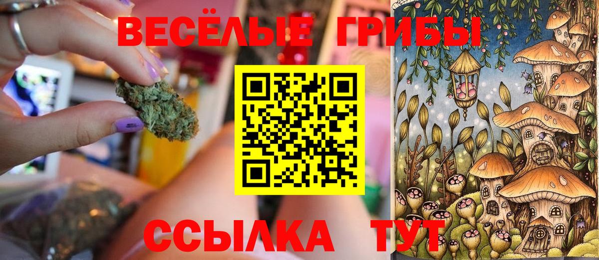 Псилоцибиновые грибы Psilocybe Губкин