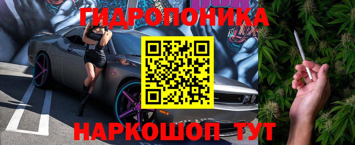 Каннабис Bruce Banner  Вход с VPN  Губкин  Бошки марихуана OG Kush  Бошки Шишки Bruce Banner 